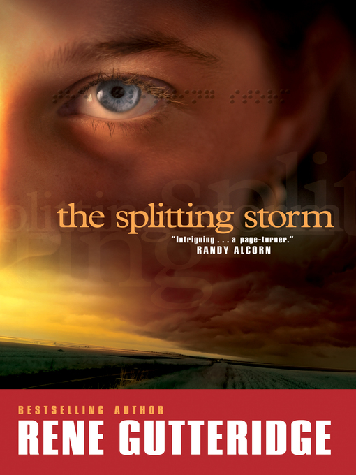 Cover image for The Splitting Storm